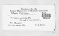 Image Associated With the Occurence